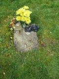 image of grave number 485654